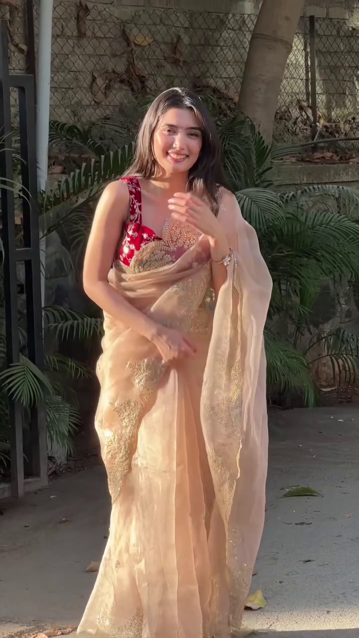 Blush & Gold Dream Saree